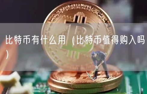 比特币有什么用（比特币值得购入吗）-第1张图片-交易所